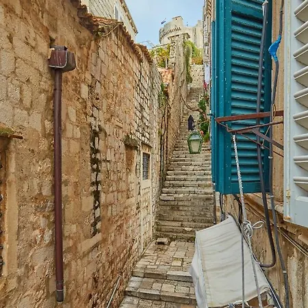 Misir Dubrovník